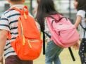 Cómo los daycares pueden planificar excursiones sin transporte